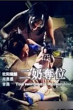 《二奶夺位》封面