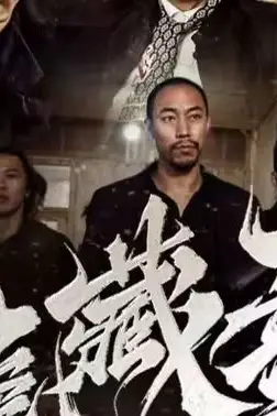 《卧虎藏龙》封面