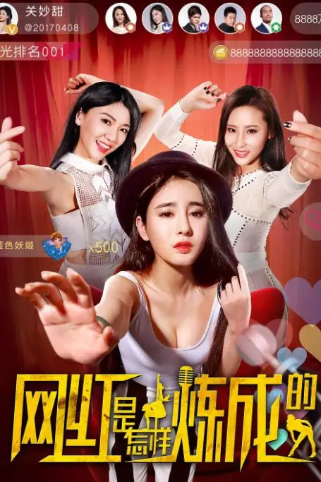 《网红是怎样炼成的》封面