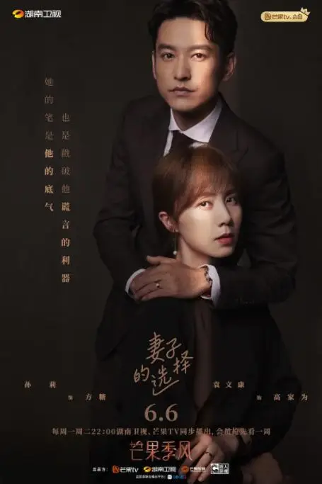 《妻子的选择》封面