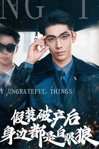 《假装破产后发现身边都是白眼狼》封面