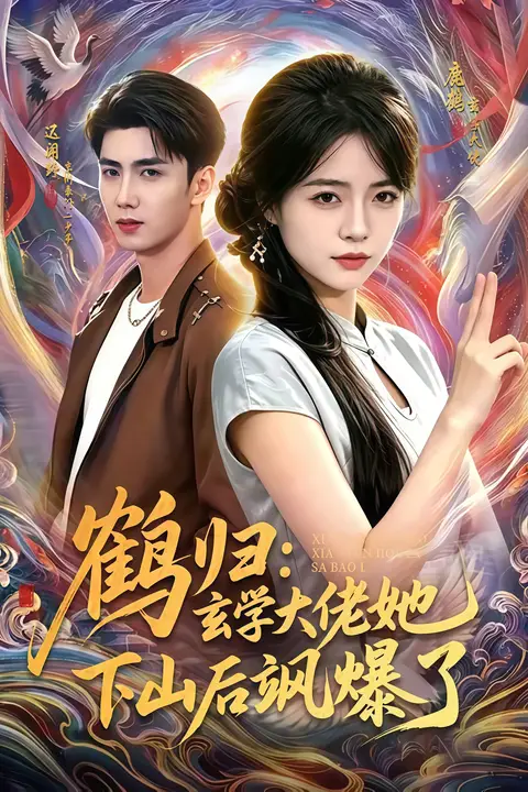 《鹤归:玄学大佬她下山后飒爆了》封面