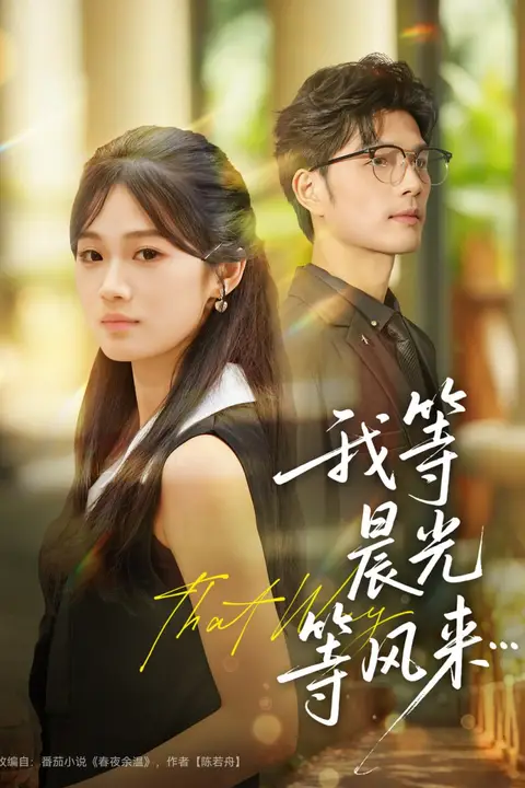 《我等晨光等风来》封面