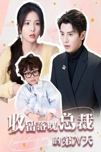 《收留落魄总裁的第N天》封面