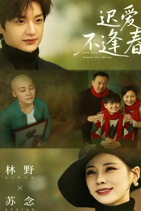 《迟爱不逢春》封面