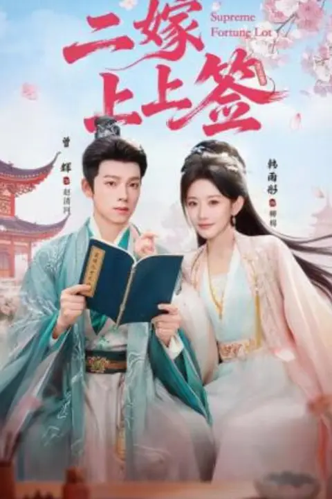 《二嫁上上签》封面
