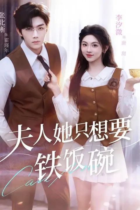 《夫人她只想要铁饭碗》封面