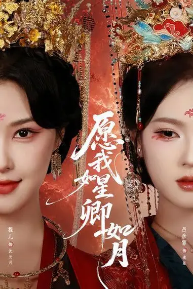 《愿我如星卿如月》封面