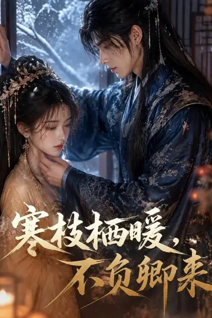 《寒枝栖暖,不负卿来》封面