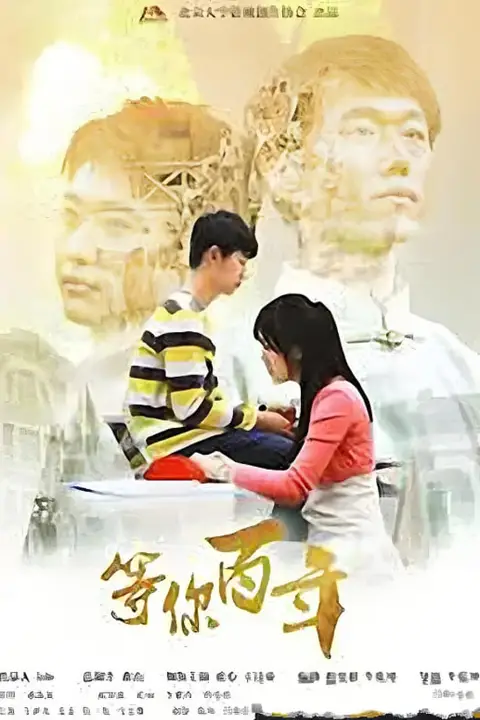 《等你百年》封面