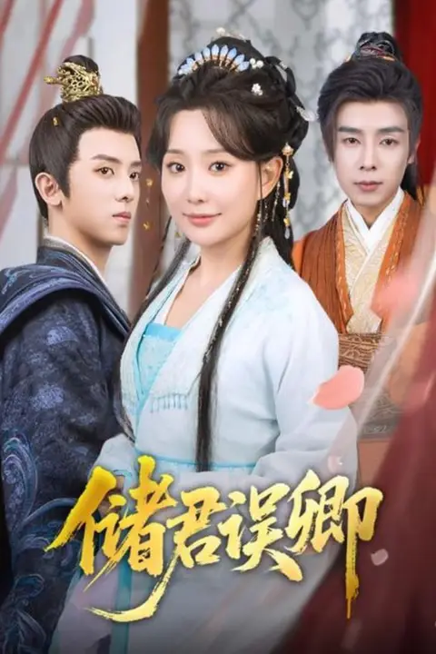 《储君误卿》封面