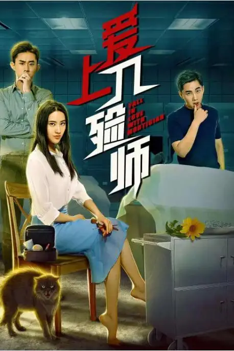 《爱上入殓师》封面