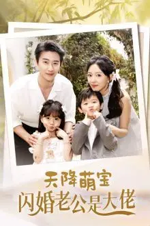 《天降萌宝闪婚老公是大佬》封面
