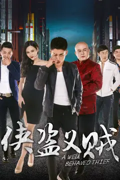 《侠盗义贼》封面