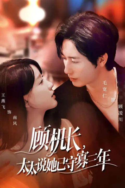 《顾机长,太太说她已守寡三年(许你晴空万里)》封面