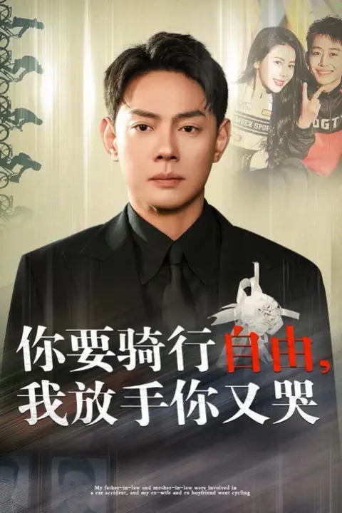 《你要骑行要自由我放手你又哭》封面