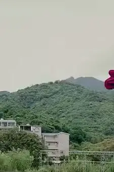 《火神战王》封面