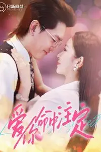 《爱你命中注定》封面