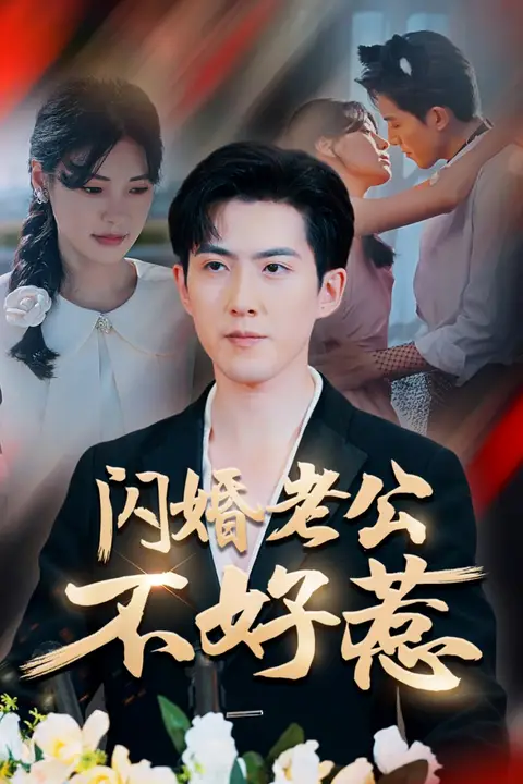 《闪婚老公不好惹》封面