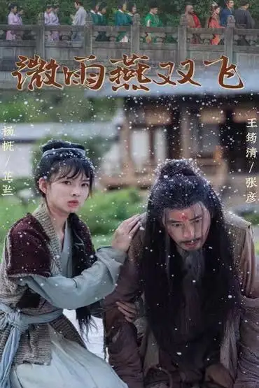 《微雨燕双飞》封面