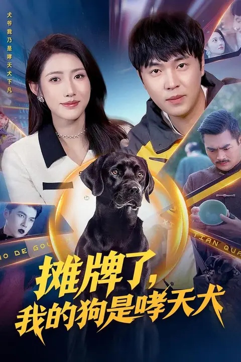 《别惹我的狗》封面