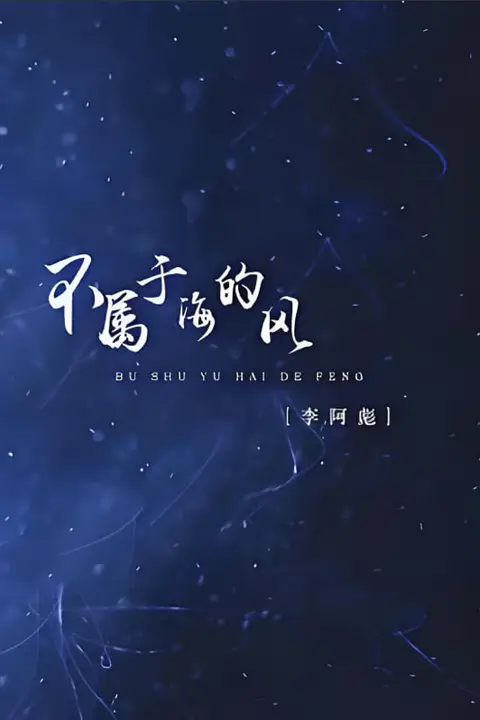 《不属于海的风》封面