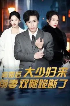 《离婚后大少归来前妻双腿跪》封面