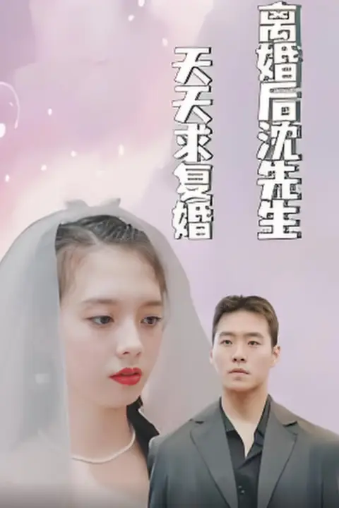 《离婚后沈先生天天求复婚》封面