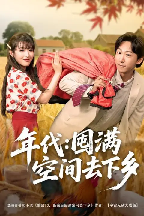 《年代囤满空间去下乡》封面