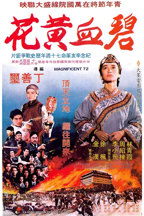 《碧血黄花》封面