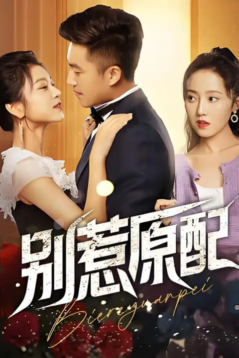 《别惹原配》封面