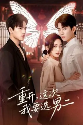 《重开，这次我要选男二》封面