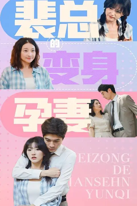 《裴总的变身孕妻》封面
