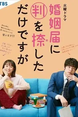 《只是在结婚申请书上盖了章》封面