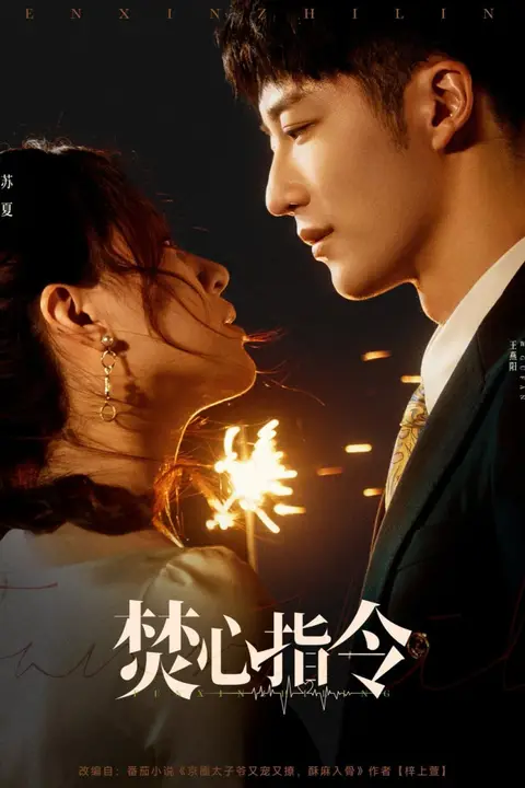 《焚心指令》封面