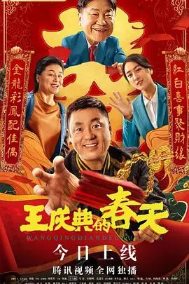《王庆典的春天》封面