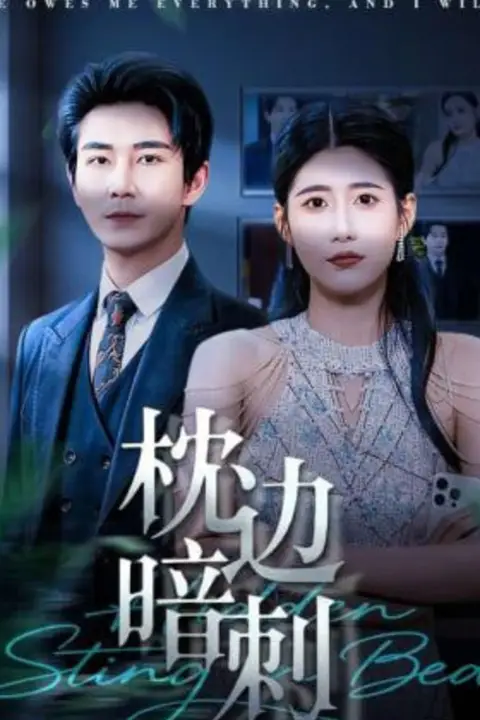 《枕边暗刺》封面