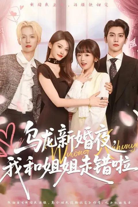《乌龙新婚夜,我和姐姐走错啦》封面