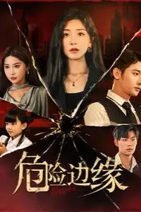 《危险边缘》封面