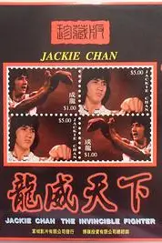 《天下无敌》封面