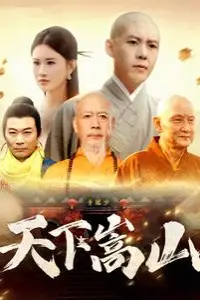《天下嵩山》封面