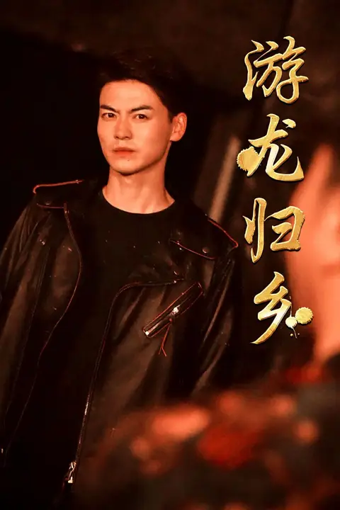 《游龙归乡》封面