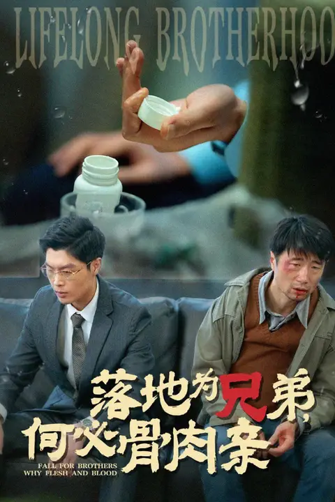《落地为兄弟，何必骨肉亲》封面