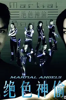 《绝色神偷》封面