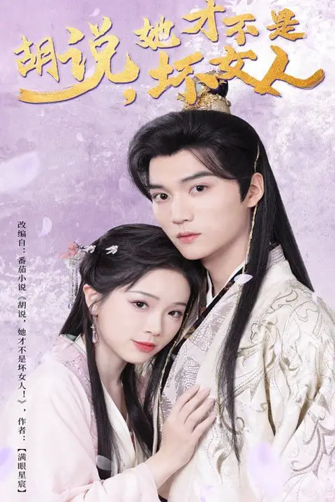 《胡说她才不是坏女人》封面