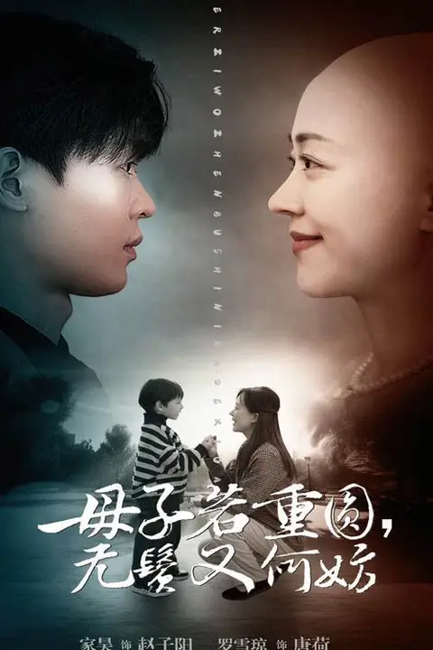 《母子若重圆无鬓又何妨》封面