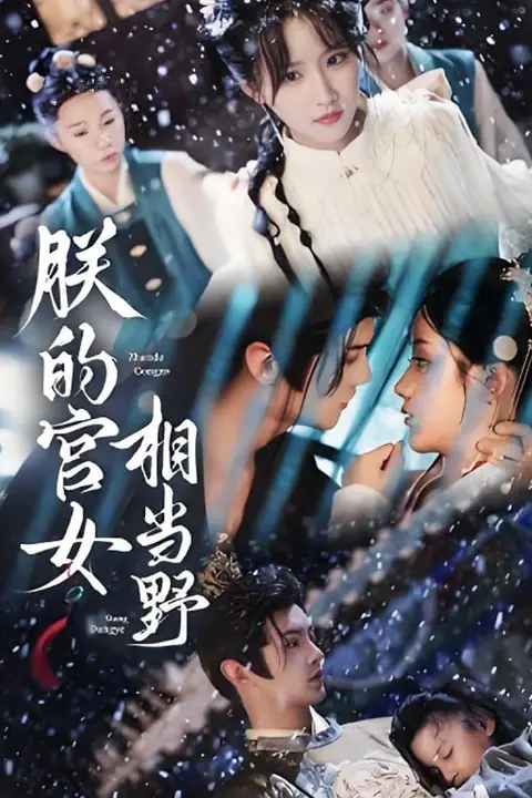 《朕的宫女相当野》封面