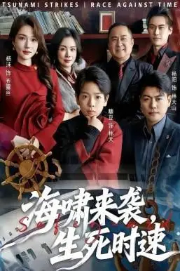 《海啸来袭，生死时速》封面