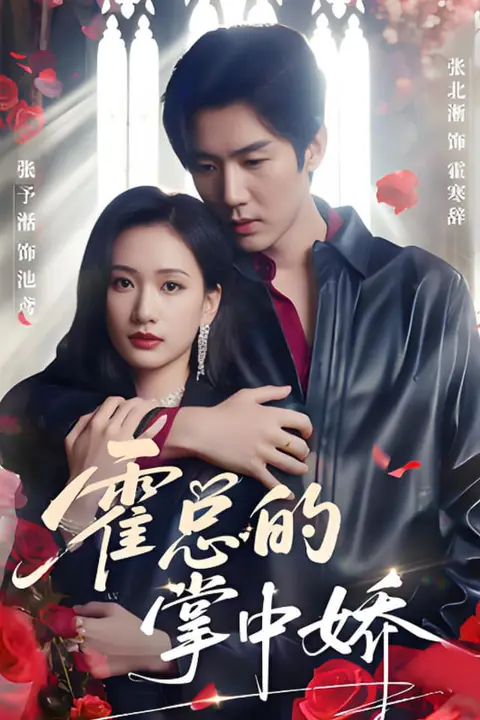 《霍总的掌中娇》封面