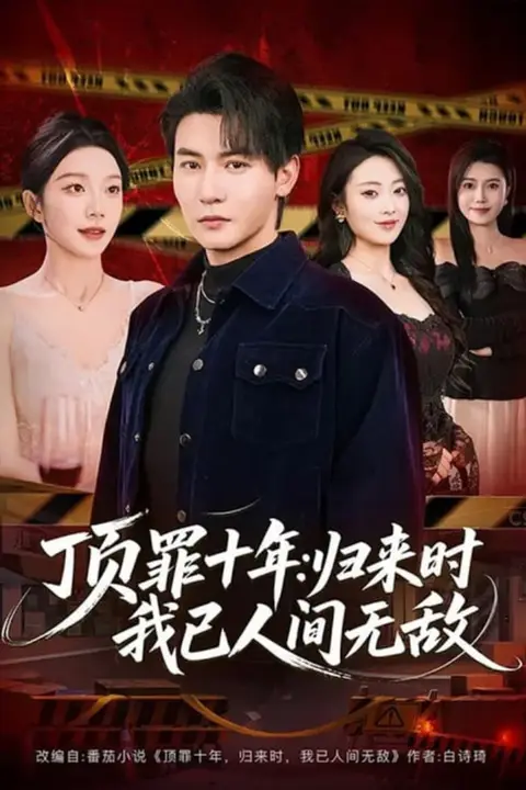 《顶罪十年：归来时我已人间无敌》封面